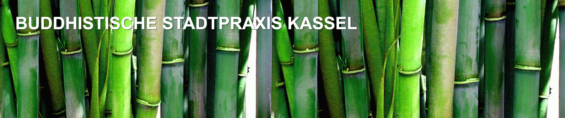 Headerbild Stadtpraxis